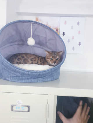옹몽꽁맘님이 올린 리뷰 사진 3