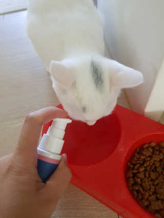 마녀철수님이 올린 리뷰 사진 1