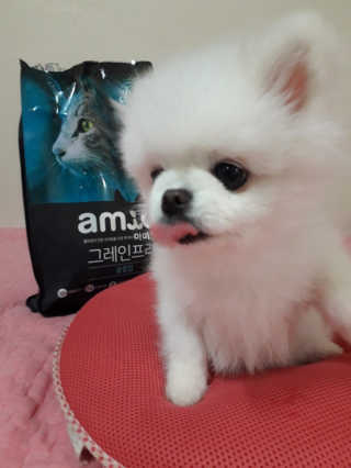 mc바비님이 올린 리뷰 사진 1