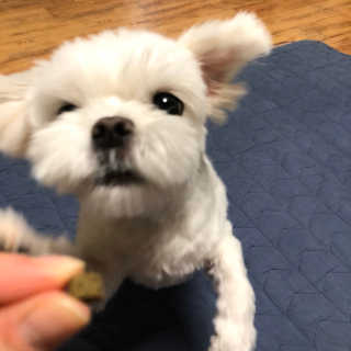 아니님이 올린 리뷰 사진 3