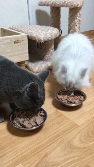 융융이님이 올린 리뷰 사진 3