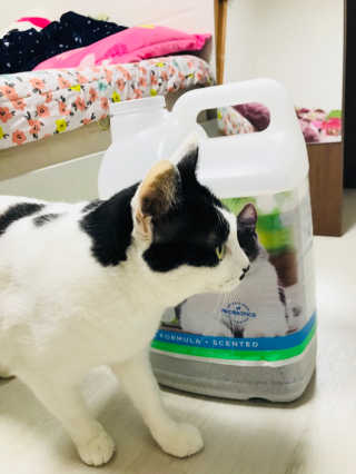 이미라님이 올린 리뷰 사진 4