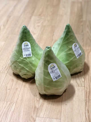초희님이 올린 리뷰 사진 2