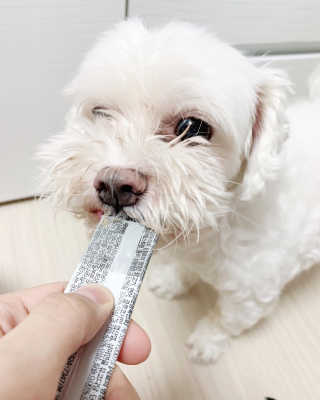 유나님이 올린 리뷰 사진 2