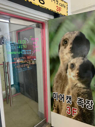 임윤캣님이 올린 리뷰 사진 1