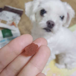 엘비스님이 올린 리뷰 사진 1