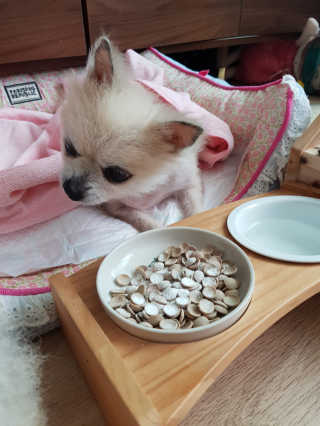 이엘리사님이 올린 리뷰 사진 2