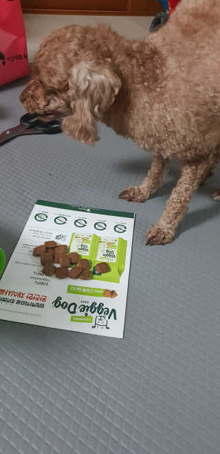 서주나님이 올린 리뷰 사진 1