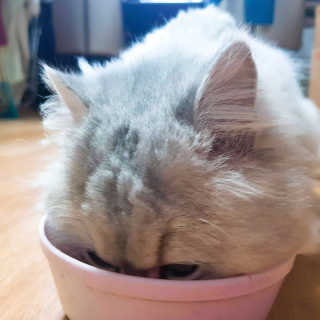 박민하님이 올린 리뷰 사진 3