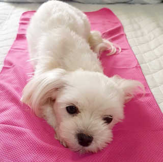 이수진님이 올린 리뷰 사진 2