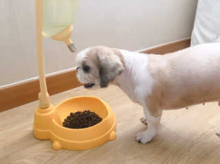 세영마마님이 올린 리뷰 사진 2