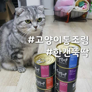 파랑텀블러님이 올린 리뷰 사진 1