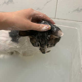 아라뉨님이 올린 리뷰 사진 1