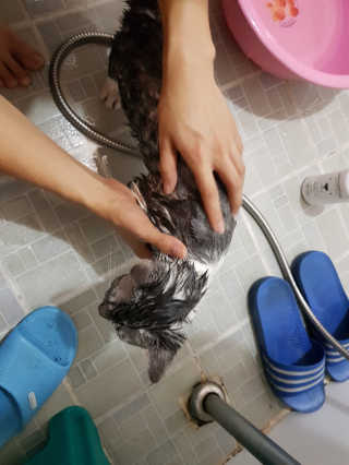 랑이엄마님이 올린 리뷰 사진 3