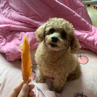 예빈님이 올린 리뷰 사진 2