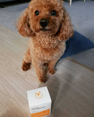 narae님이 올린 리뷰 사진 2