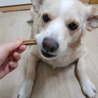 엘리님이 올린 리뷰 사진 3