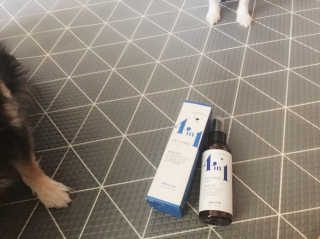 강아지스토리 포인원 모이스처 미스트 100ml — 5점을 준 리뷰어가 2018년 10월 올린 사용 사진