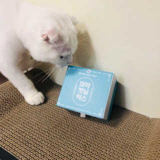 지니수님이 올린 리뷰 사진 3
