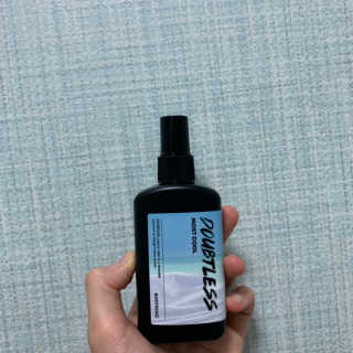 바디홀릭 다우트리스 라인 바디미스트 100ml — 5점을 준 리뷰어가 2019년 7월 올린 사용 사진