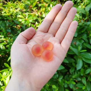 락토조이 구미젤리 복숭아맛 — 5점을 준 리뷰어가 2019년 6월 올린 사용 사진