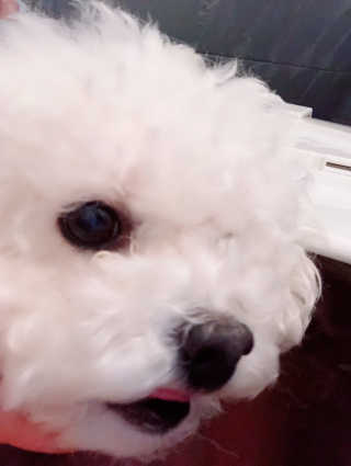 창신리빙 [프랑코 이동식 욕조] 똑똑한 정리 수납 인테리어 — 5점을 준 리뷰어가 2019년 1월 올린 사용 사진