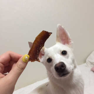 J님이 올린 리뷰 사진 3