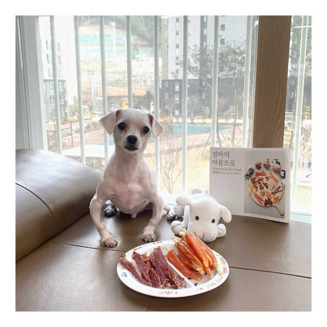 강아지 닭갈비껌 10p 리뷰 사진