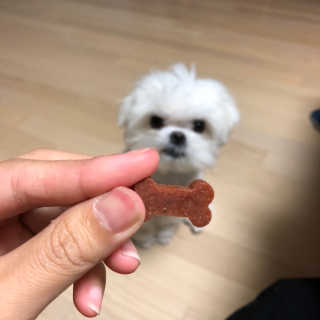 율리킴님이 올린 리뷰 사진 1