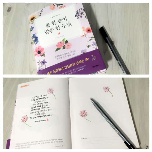 꽃 한 송이, 말씀 한 구절 리뷰 사진