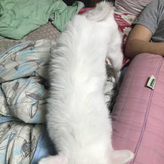 상하님이 올린 리뷰 사진 4