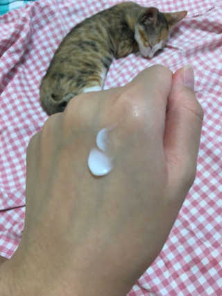 이수진님이 올린 리뷰 사진 2