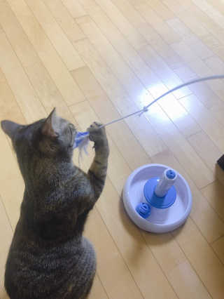 후크님이 올린 리뷰 사진 1