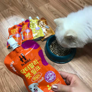 생강언니님이 올린 리뷰 사진 1