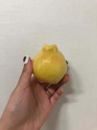 몽숭꾸님이 올린 리뷰 사진 3