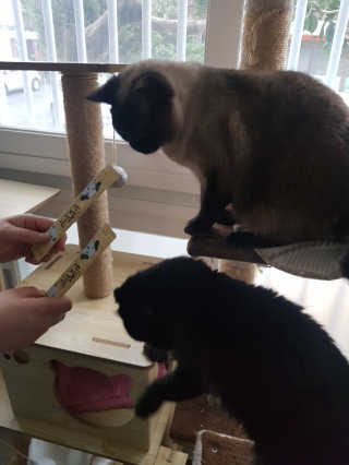 희야맘스님이 올린 리뷰 사진 3