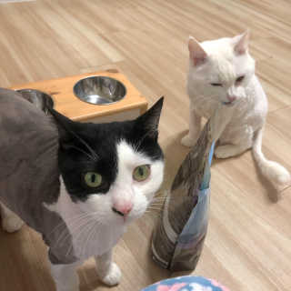 나나님이 올린 리뷰 사진 1