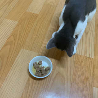 둥이님이 올린 리뷰 사진 3