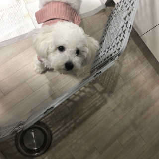 kju0288님이 올린 리뷰 사진 2