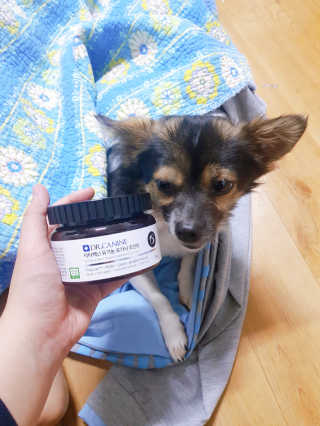 꽃수니어니님이 올린 리뷰 사진 4