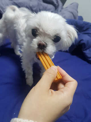 이다솜님이 올린 리뷰 사진 3