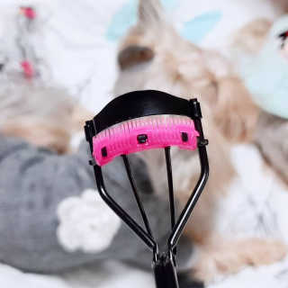 아이링님이 올린 리뷰 사진 4
