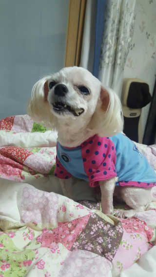 오윤택님이 올린 리뷰 사진 3