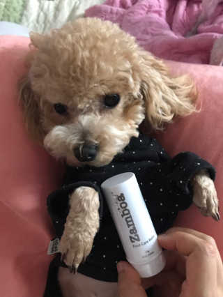 모모맘님이 올린 리뷰 사진 1