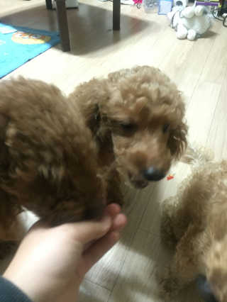 김세희님이 올린 리뷰 사진 2