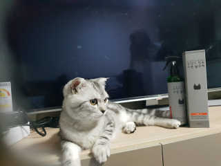 이째님이 올린 리뷰 사진 3