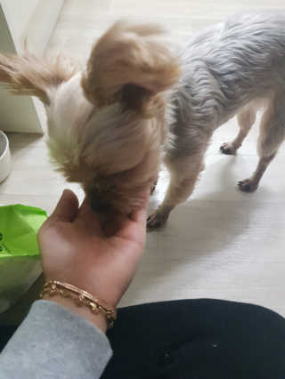 박소희님이 올린 리뷰 사진 3