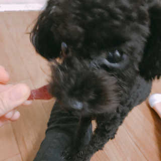 진미님이 올린 리뷰 사진 2