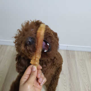 봄찌님이 올린 리뷰 사진 3