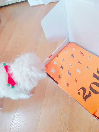 윱니님이 올린 리뷰 사진 2
